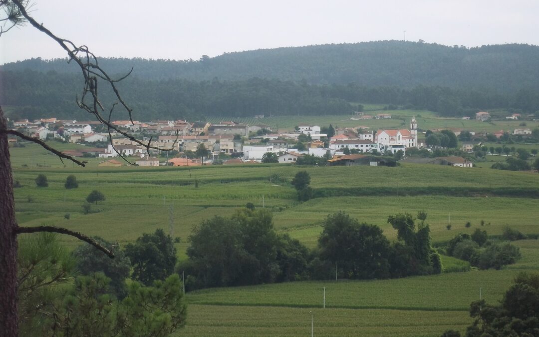 Bł. Aleksandryna Maria da Costa